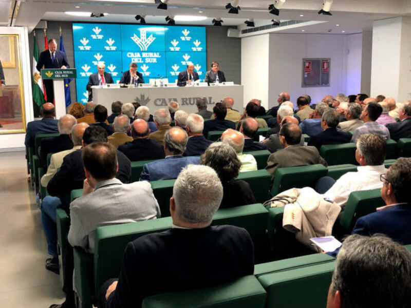 Conferencia de prensa en Caja Rural del Sur, con un panel de expertos y un público atento en un salón bien iluminado.