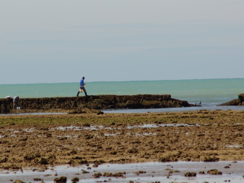 Persona caminando por una costa rocosa junto al mar.