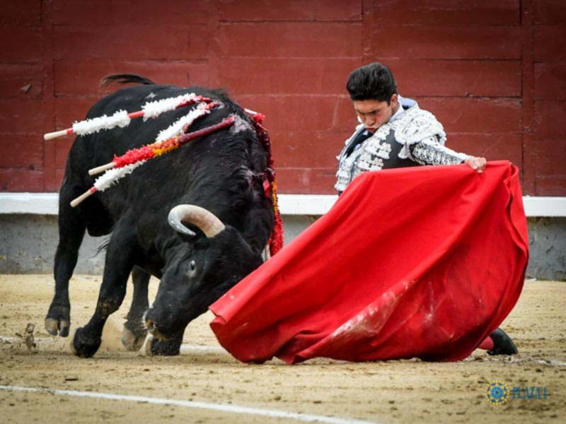Un torero se enfrenta a un toro en una corrida de toros, usando un capote rojo para desviar las embestidas del animal.