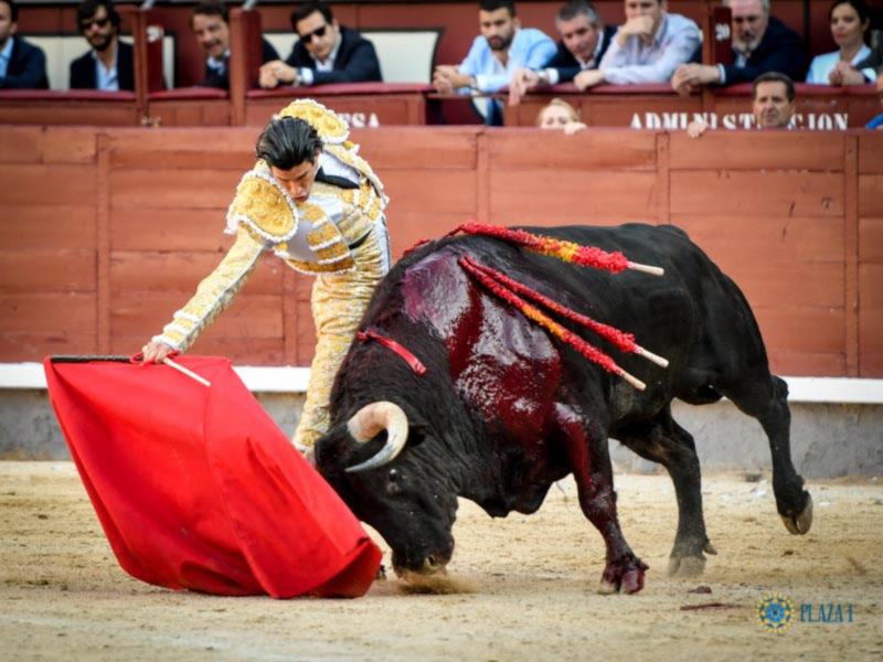 Un torero se enfrenta a un toro en una corrida de toros, usando una capa roja y mostrando destreza y valentía.