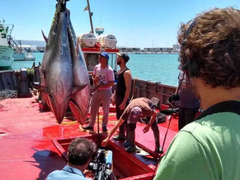 'Crónicas' comienza la temporada en las almadrabas de Cádiz
