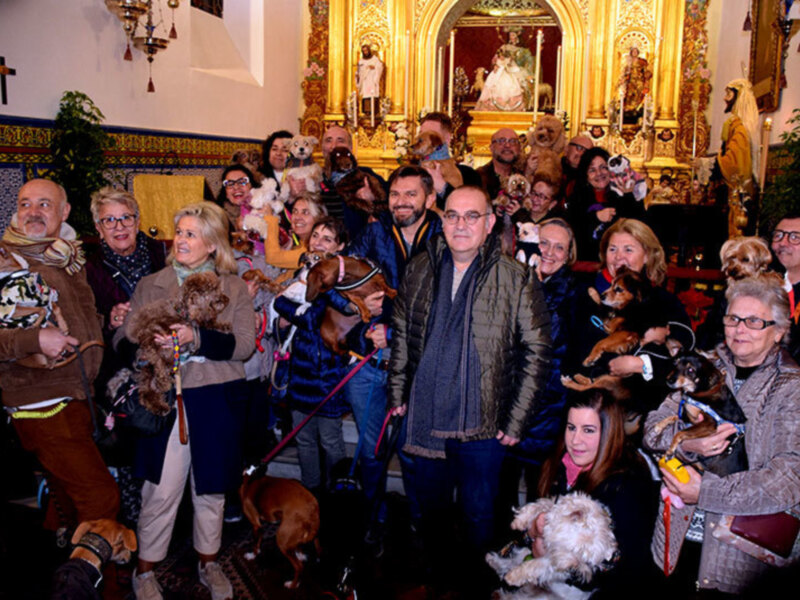 Grupo de personas y mascotas en una iglesia decorada, celebrando un evento festivo.