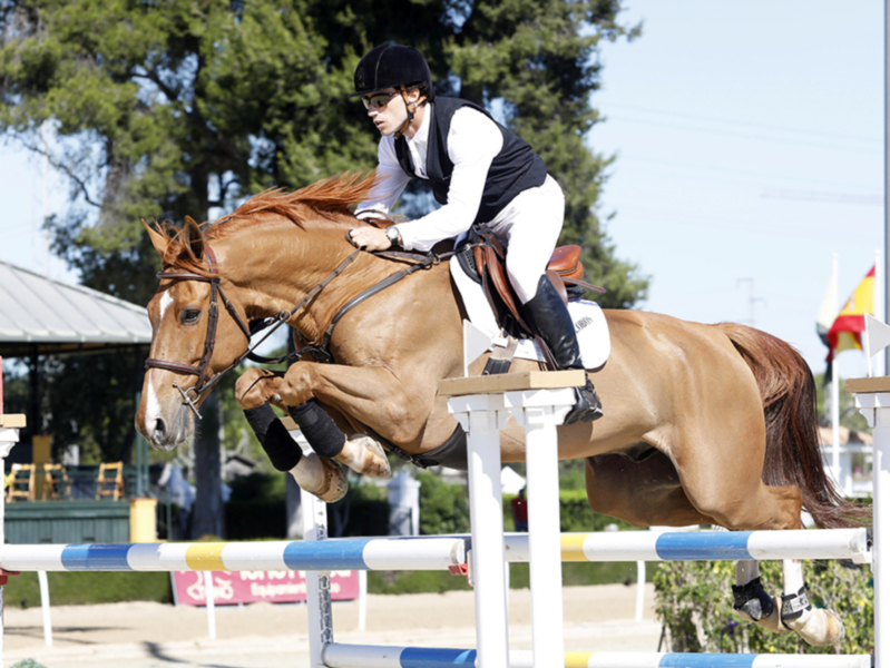 Jinete en competencia de salto de obstáculos con caballo en un evento ecuestre al aire libre.