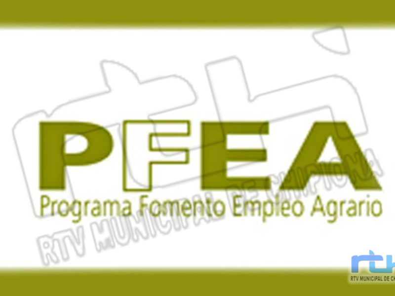 Logo del Programa de Fomento Empresarial Agrario (PFEA) de RTV Municipal de Chipiona.