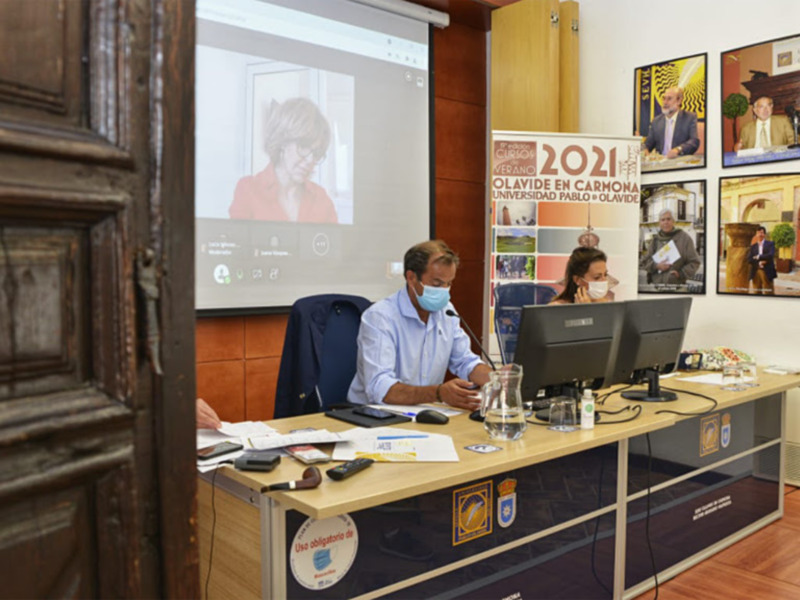 Reunión virtual en la Universidad Pablo de Olavide, con participación de profesores y personal académico.