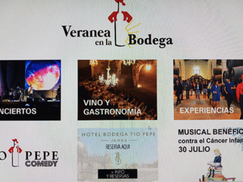 Promoción de 'Veranea en la Bodega' con conciertos, vino y gastronomía, experiencias y musical benéfico contra el cáncer infantil el 30 de julio.