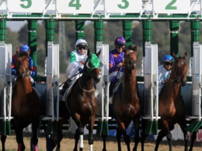 El Club Waterpolo Dos Hermanas PQS, protagonista en el Gran Hipódromo de Andalucía