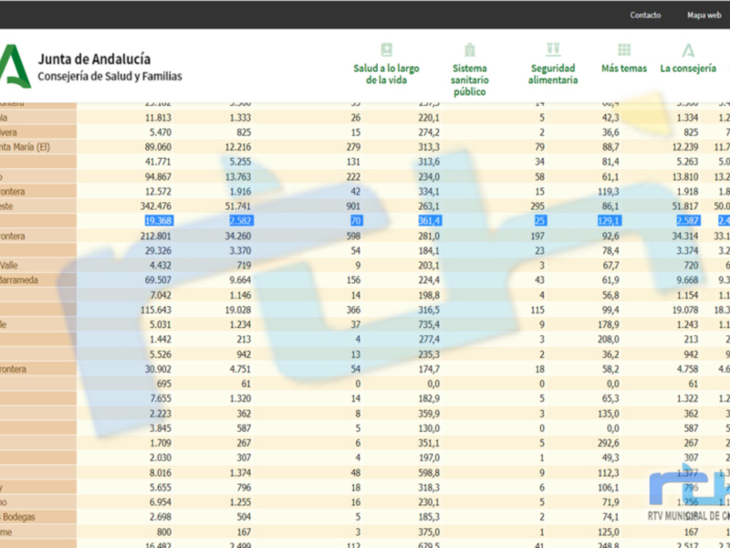 Tabla de datos de la Junta de Andalucía, detalle de indicadores sanitarios y sociales por municipios.