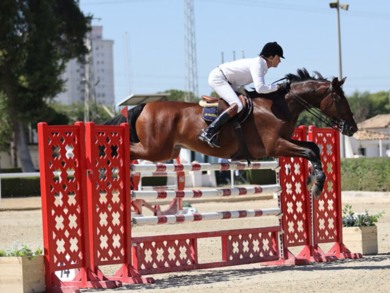 Jinete en competencia de salto de obstáculos con caballo en un campo de arena.