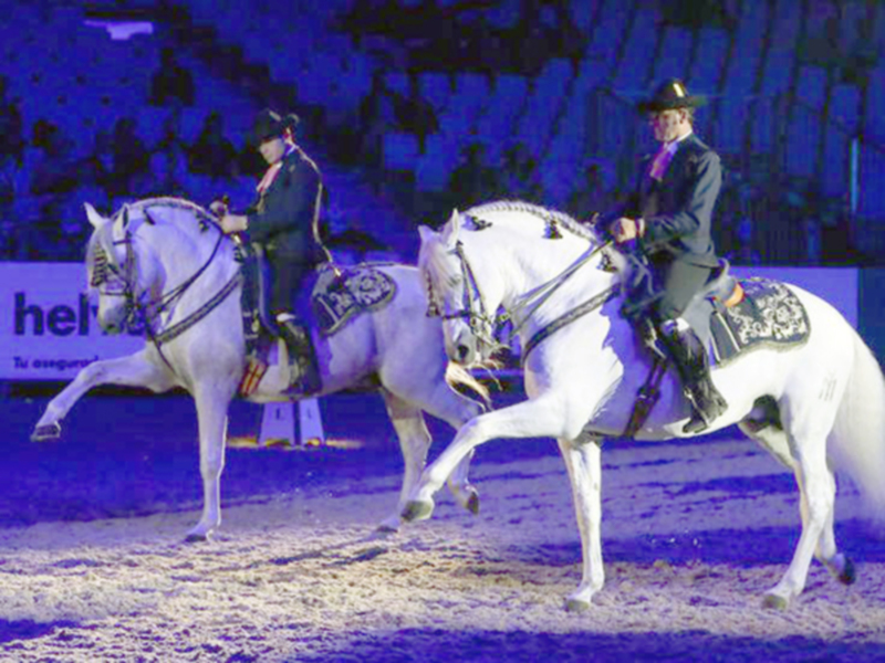Elegantes jinetes en trajes de corte y sombreros tradicionales montando caballos blancos durante una presentación ecuestre en un estadio iluminado.