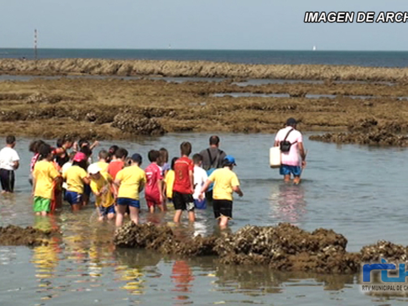 Una escena de paseo en la playa con personas caminando en la orilla del mar, mostrando una variedad de actividades y disfrutando del entorno natural.