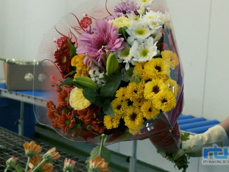 Un hermoso ramo de flores en un sobre transparente, con una mezcla de colores vibrantes como amarillo, blanco y rojo. La imagen se toma en un entorno industrial con una mesa de metal y contenedores azules al fondo.