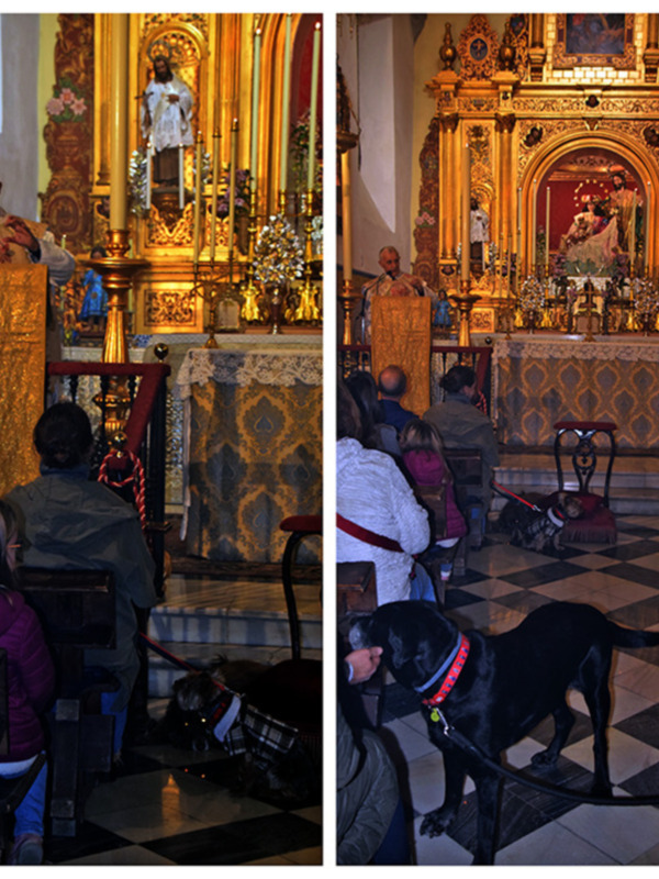 Interior de una iglesia con un sacerdote oficiando una misa, donde un perro negro con chaleco está sentado en el piso delante de los asistentes.