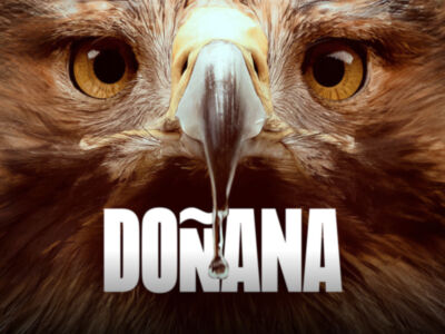 'Doñana', el retrato de una tierra salvaje, estreno el 19 de octubre en Movistar Plus+