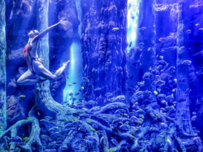 El Club Natación Sincro Sevilla hace historia en los Premios Beiman-Divina