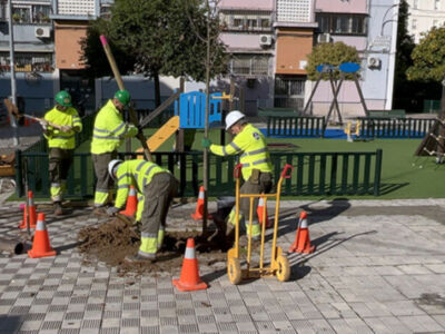 San Pablo,Santa Justa refuerza su arbolado urbano dentro del plan municipal de plantaciones 2025–2026 en Sevilla 