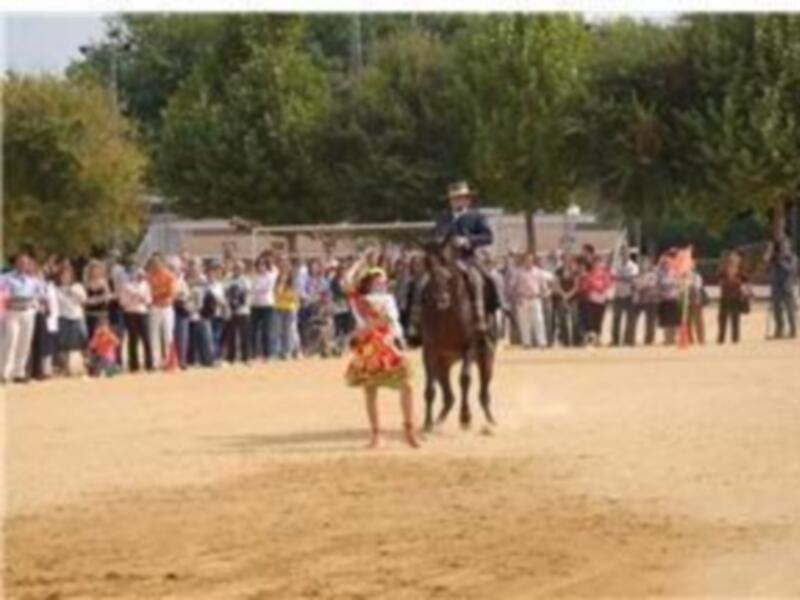 Caballos y jinetes en un evento ecuestre, rodeados por un público en un terreno arenoso.