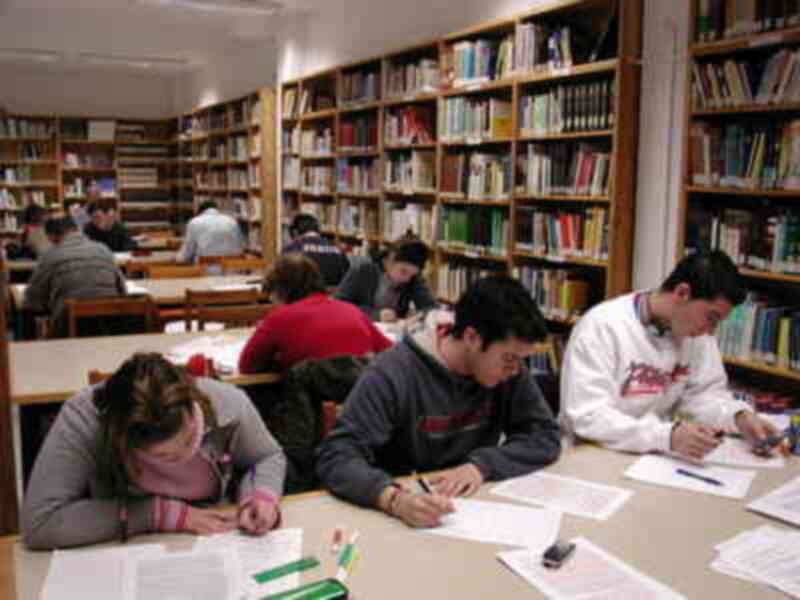 Algunos estudiantes están sentados en mesas de la biblioteca, con libros y cuadernos a su alrededor. La atmósfera es de concentración y estudio.