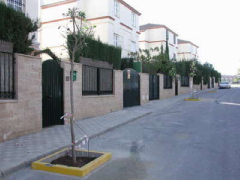Calle con casas blancas y verdes, árboles en macetas.