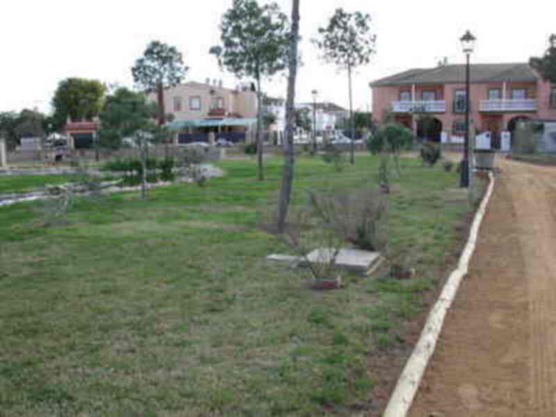 Un parque con césped y árboles jóvenes, cerca de casas y una calle.