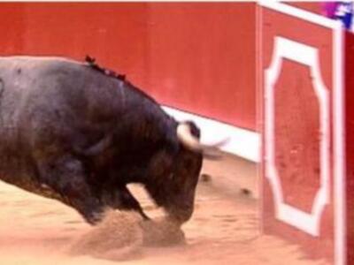 Espectacular tarde de San Fermín mañana en Digital+: El Cid, Castella y Perera con toros de Fuente Ymbro