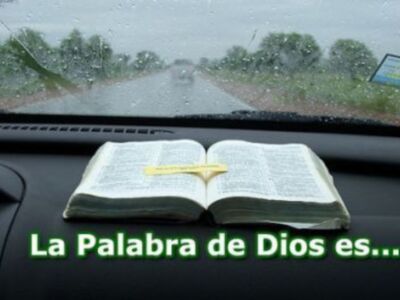 Este domingo Domund 2008 Como Pablo, misionero por vocación, lema de la Jornada Misionera Mundial: Aquellos que hemos recibido de Dios, de forma totalmente gratuita, el don de la fe, hemos de testimoniarla