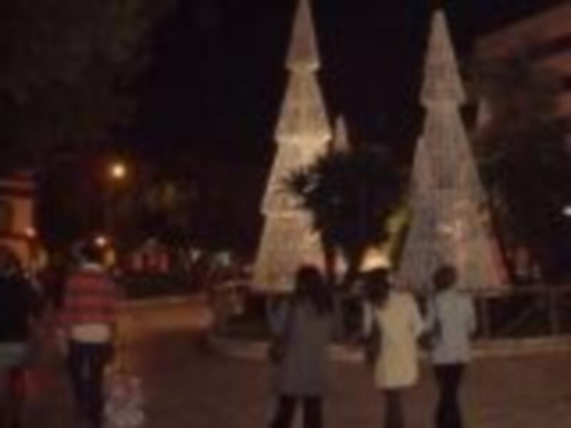 Árboles de Navidad iluminados en un parque nocturno.