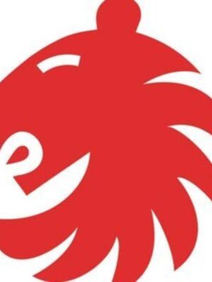 El Primer Foro Baloncesto y Literatura tendrá lugar este jueves en Madrid