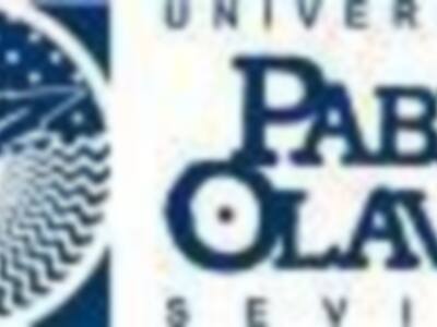 La UPO amplia su oferta de movilidad académica internacional hacia América Latina.