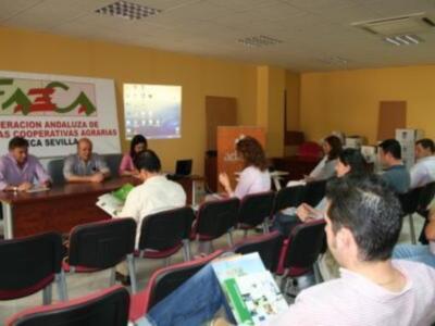 ADAD ha presentado esta mañana el programa LiderA a las cooperativas agrarias de la provincia de Sevilla