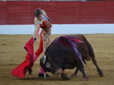Fuertes emociones en la tercera novillada del XI Encuentro Andaluz de Escuelas de Tauromaquia de Baeza