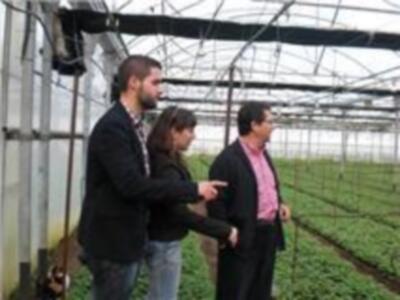Antonio Peña comprueba in situ el estado de los invernaderos (Chipiona)