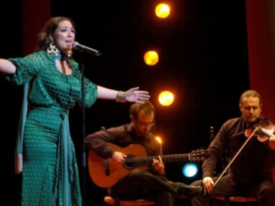 Enrique Morente, Miguel Ríos, Dani Martín,y Elvira Lindo, premiados por el Público en Granada