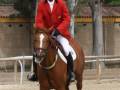 Jinete en traje rojo montando un caballo castaño con mancha blanca en la frente, en un entorno ecuestre.