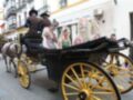 Un carro negro con ruedas doradas transporta a una niña vestida de blanco, rodeada por personajes vestidos con trajes tradicionales. La imagen se desarrolla en un entorno urbano, con edificios y gente a su alrededor.