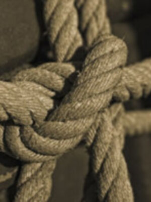 Esa sangre veloz de los artistas. "El momento de las advertencias"