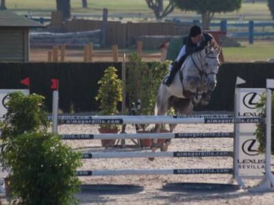 Los Jinetes de Pineda dominan la primera jornada del Campeonato de Andalucía de Saltos