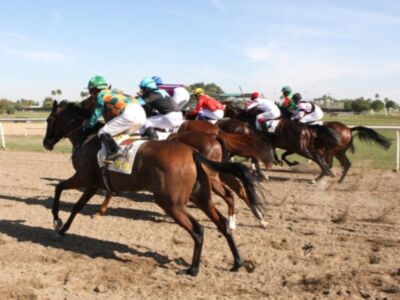 Espectáculo de primer nivel en las carreras de Pineda