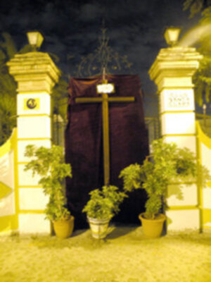 Puerta principal de un edificio histórico con columnas y plantas en macetas.