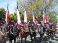 Un grupo de soldados chilenos monta caballos y ondean banderas tricolor, celebrando una ceremonia militar.