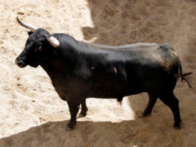 Orden de lidia de los toros de Hrdos. del Excmo. Sr. Conde de la Maza par a la quinta de abono en Sevilla