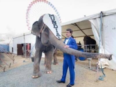 El conde de Salvatierra debuta como domador de elefantes en el circo mundial en Sevilla.
