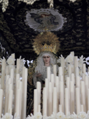 Exposición, Pietas Populi de la devoción a María, por el Consejo de Hermandades y Cofradía de Cádiz y (II) PARTE