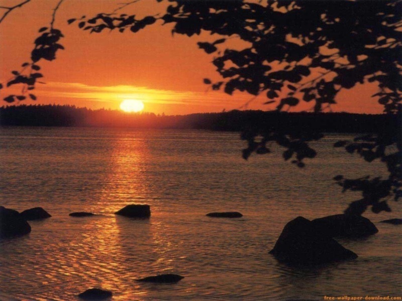 Atardecer sobre el lago, reflejos dorados en el agua y siluetas de árboles en primer plano.