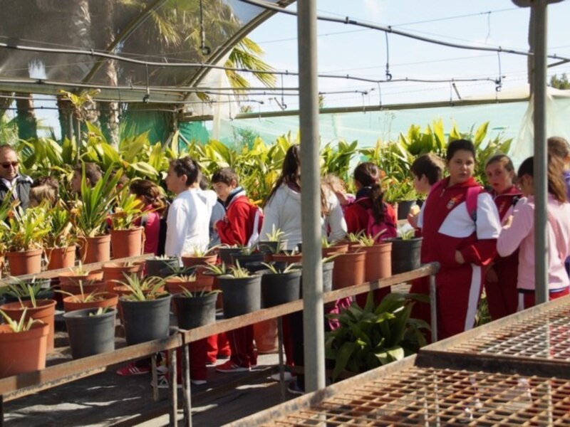 Un grupo de personas en un invernadero, rodeado de plantas y macetas. La imagen muestra una variedad de plantas en macetas, con algunos individuos observando o interactuando con las plantas. El ambiente es natural y relajado, típico de un invernadero.