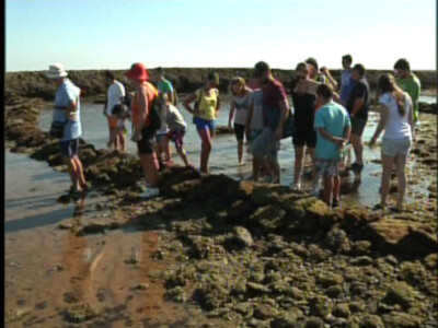 Turismo y JARIFE ofrecen visitas guiadas a los corrales de pesca durante el verano(Chipiona)