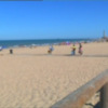 Los profesionales de playas y medioambiente instan a los ayuntamientos a limitar la presencia de animales en playas