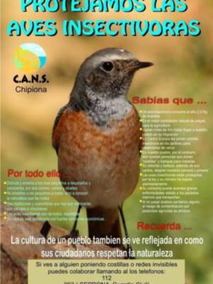 CANS hace un llamamiento a la colaboración ciudadana para eliminar la caza de aves insectívoras(Chipiona) 
