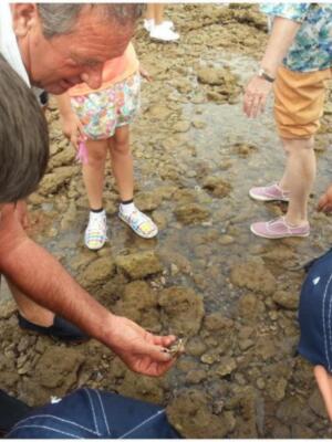 289 personas han participado en el programa de visitas a los corrales de pesquería organizadas por Jarife y Turismo(Chipiona)