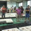 La Organización de Productores Pesqueros Artesanales  explotará  la lonja de Chipiona hasta 2018